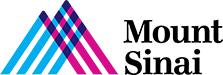ms Logo